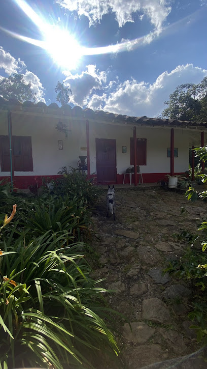 Finca La Leona tour del cafe envigado .... cafe cereza